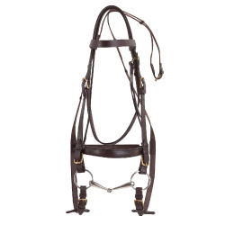 Bridon Excelsior Trekpaard Bridon Excelsior Trekpaard