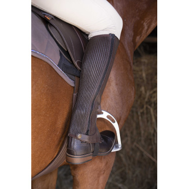 Mini-chaps Equithème cuir Mini-chaps Equithème cuir