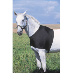 Protection d'épaules Equithème Protection d'épaules Equithème