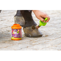 Huile pour sabots Equinatura avec pinceau 450 mL Huile pour sabots Equinatura avec pinceau 450 mL