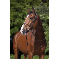 Bridon Riding World Muserolle combinée Havane Marron Bridon Riding World Muserolle combinée Havane Marron