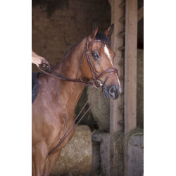 Rênes allemande cuir / corde Norton Pro Havane Marron Rênes allemande cuir / corde Norton Pro Havane Marron