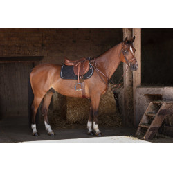 Sangle combinée Eric Thomas Hybrid Havane Marron Sangle combinée Eric Thomas Hybrid Havane Marron