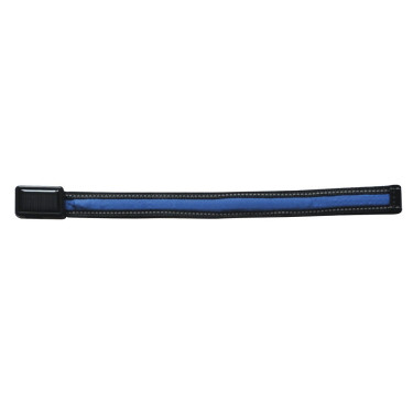 Frontal lumineux Equizor LED Bleu