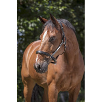 Lederen halster Norton Pro Grooming Zwart