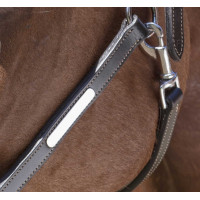 Licol cuir Norton Pro Grooming Havane Marron