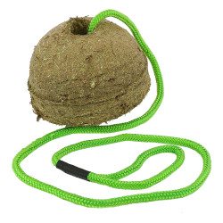 Bloc de foin Hippo-Tonic saveur pomme