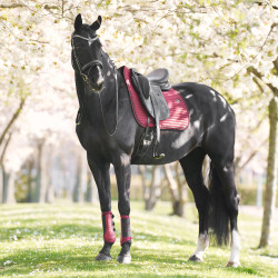 Tapis de selle Imperial Riding Josie Dressage