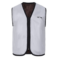 Veste d'équitation sans manches réfléchissant HV Polo Hi-Viz Argent / réfléchissant Veste d'équitation sans manches réfléchissant HV Polo Hi-Viz Argent / réfléchissant