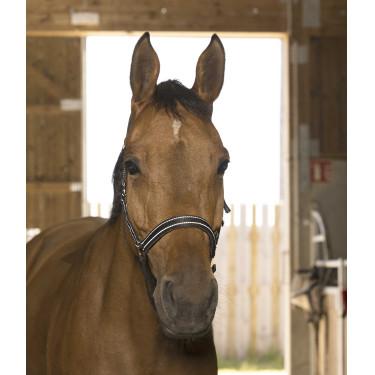 Licol Norton Reflective Noir Licol Norton Reflective Noir