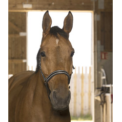 Norton Reflective halster Zwart Norton Reflective halster Zwart