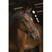 Side-pull Norton Pro Comfort Zwart Side-pull Norton Pro Comfort Zwart