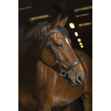 Side-pull Norton Pro Comfort Zwart Side-pull Norton Pro Comfort Zwart