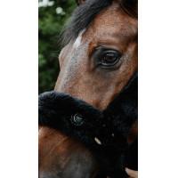 Licol Je t'aime Equithème Snuggy Gris Licol Je t'aime Equithème Snuggy Gris