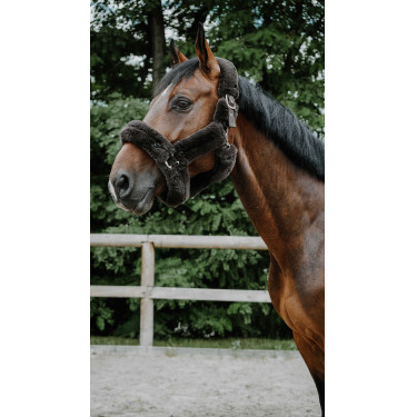 Halster Je t'aime Equithème Snuggy Bruin