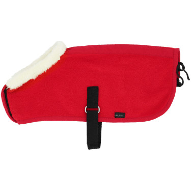 Mini-dekens Pony Academy Rood