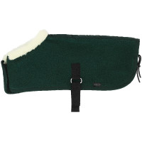 Mini-couvertures Pony Academy Vert foncé