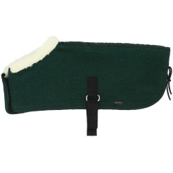 Mini-couvertures Pony Academy Vert foncé