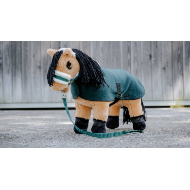 Mini-halster + leidtouw Pony Academy Donkergroen