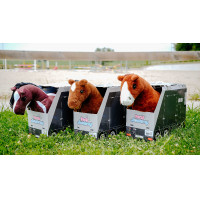 Mini-pony Poly Pony Academy Tweekleurig