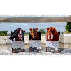Mini-poney Poly Pony Academy Bicolores Mini-poney Poly Pony Academy Bicolores