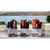 Mini-pony Poly Pony Academy Tweekleurig