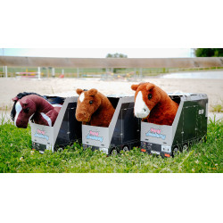 Mini-poney Prince Pony Academy Marron