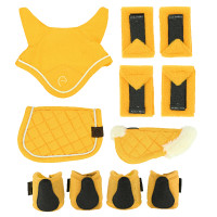 Set mini-accessoires Pony Academy Geel