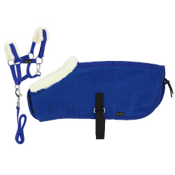 Set Mini licol+couverture Pony Academy Bleu roi