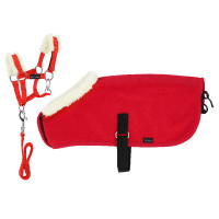 Set Mini halster + deken Pony Academy Rood