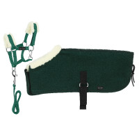 Set Mini halster + deken Pony Academy Donkergroen