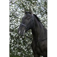 Bride Riding World Zwart