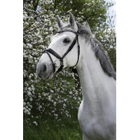 Bridon Norton Pro Strass Zwart