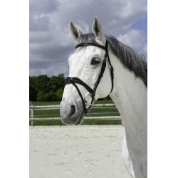 Bridon Norton Pro Golvend