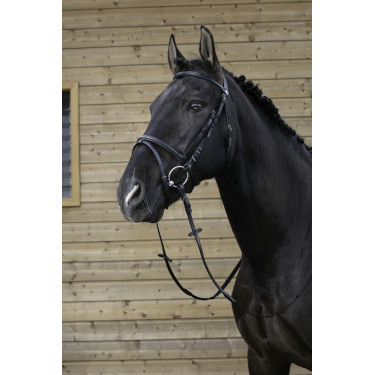 Bridon Riding World Muserolle combinée
