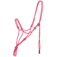 Ethologisch halster Norton Nylon Oudroze