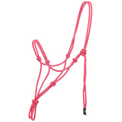 Licol éthologique Norton Nylon