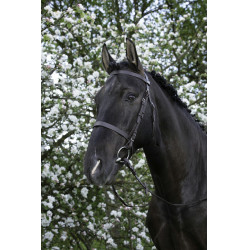 Bridon Riding World Franse neusriem
