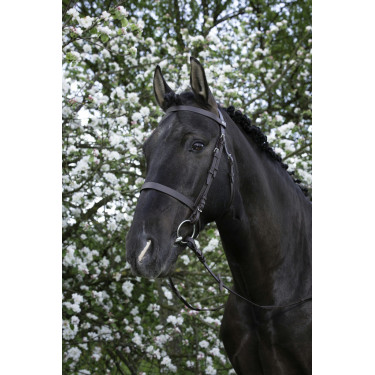 Bridon Riding World Franse neusriem