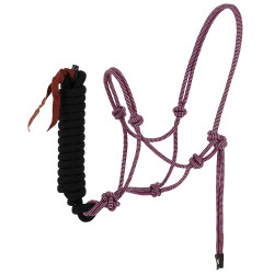 Licol éthologique + longe Norton Duo Rose / noir