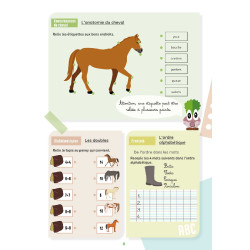 Mijn Activiteitenboek Lavauzelle Niveau CP