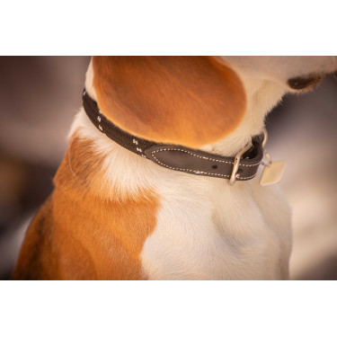 Collier pour chien Penelope Billie Collier pour chien Penelope Billie