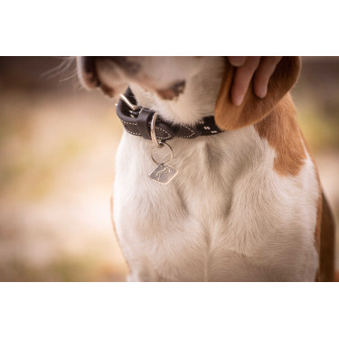Collier pour chien Penelope Billie Collier pour chien Penelope Billie