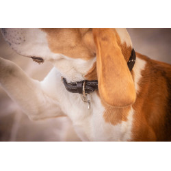 Collier pour chien Penelope Billie Collier pour chien Penelope Billie