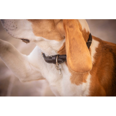 Hondenhalsband Penelope Billie