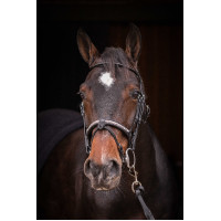 Bridon Pénélope Symphonie Zwart Bridon Pénélope Symphonie Zwart