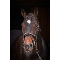 Bridon Pénélope Symphonie Noir