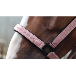 Licol Lami-Cell Charming Vieux rose