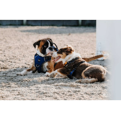 Hondentuig Riding World Simba Marine Marineblauw
