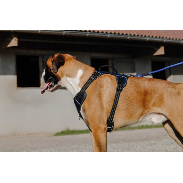 Hondentuig Riding World Simba Marine Marineblauw Hondentuig Riding World Simba Marine Marineblauw